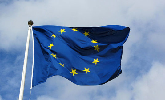 EU20vlag_low-3