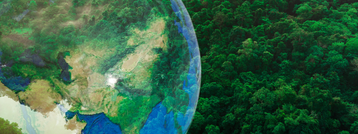 Aerial view of the green forest against the land. Demonstrates the concept of preserving the ecosystem and nature, air pollution and saving the planet.