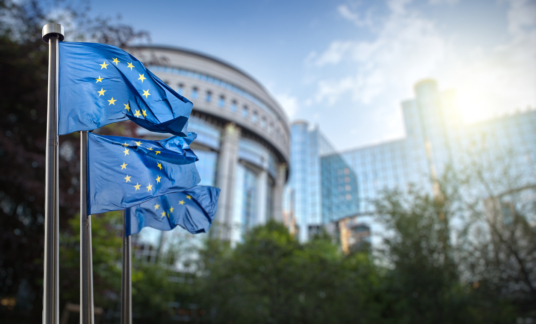 European union flag against parliament in Brussels