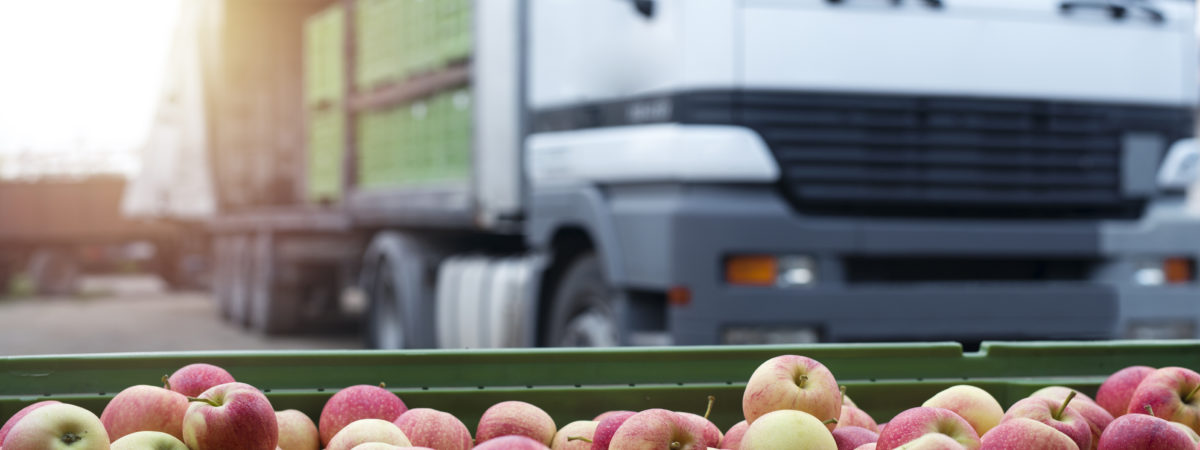 Fruit and food distribution. Truck loaded with containers full of apples ready to be shipped to the market.