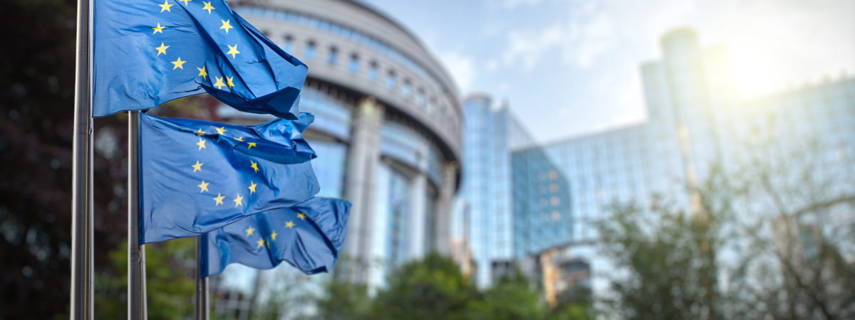 European union flag against parliament in Brussels